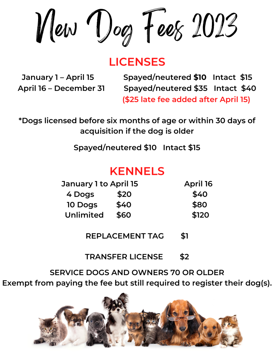 Dog License